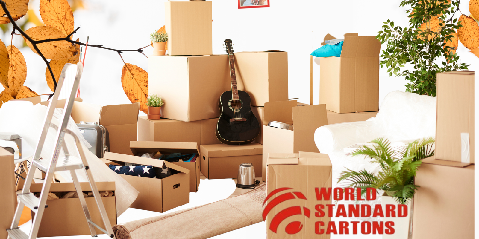 Read more about the article 7 Steps to Recycle Corrugated Boxes Effectively